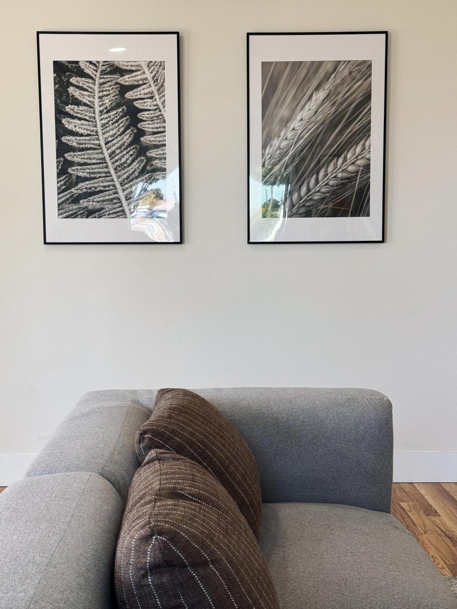 לוס אנג'לס Cozy Private Room B In S Central La מראה חיצוני תמונה